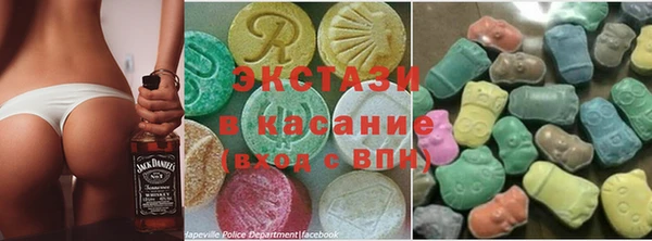 индика Дмитриев