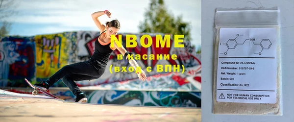 индика Дмитриев