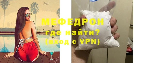 индика Дмитриев