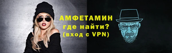 индика Дмитриев