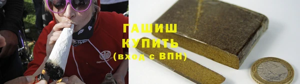 индика Дмитриев