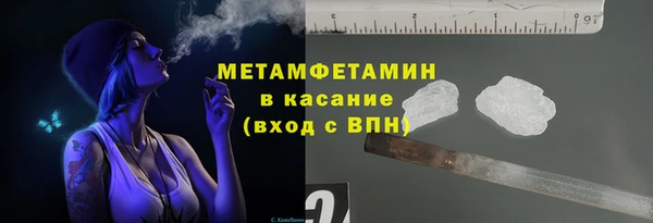 индика Дмитриев
