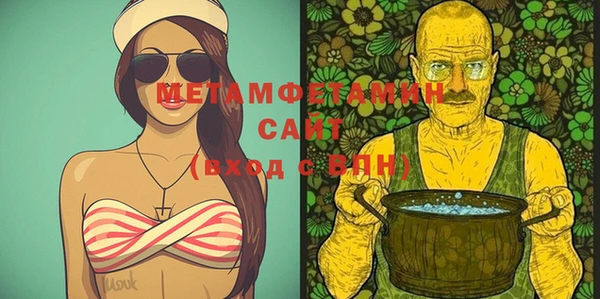 индика Дмитриев