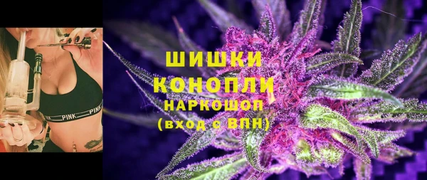 индика Дмитриев