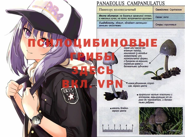 кокс Дмитровск