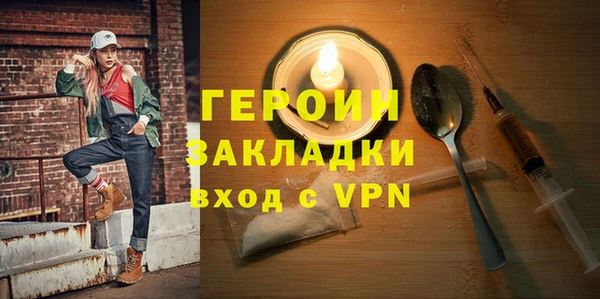 индика Дмитриев