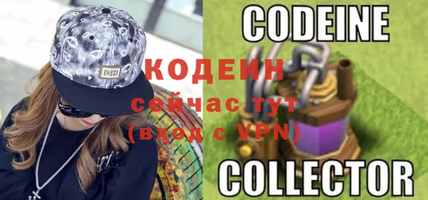 индика Дмитриев