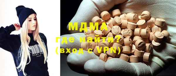 индика Дмитриев