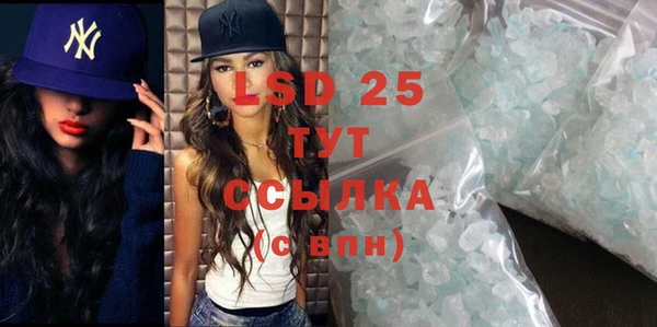 индика Дмитриев