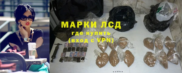 индика Дмитриев