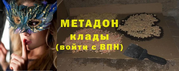 индика Дмитриев