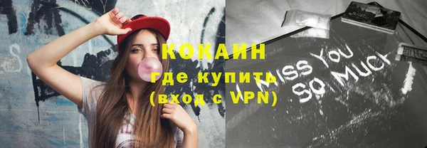 индика Дмитриев