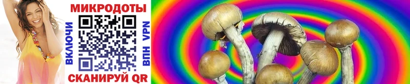 Псилоцибиновые грибы Magic Shrooms Новый Уренгой