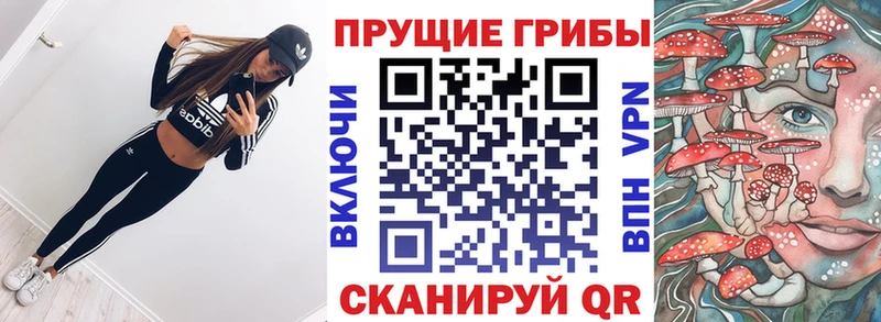 Псилоцибиновые грибы ЛСД  купить   Новый Уренгой 