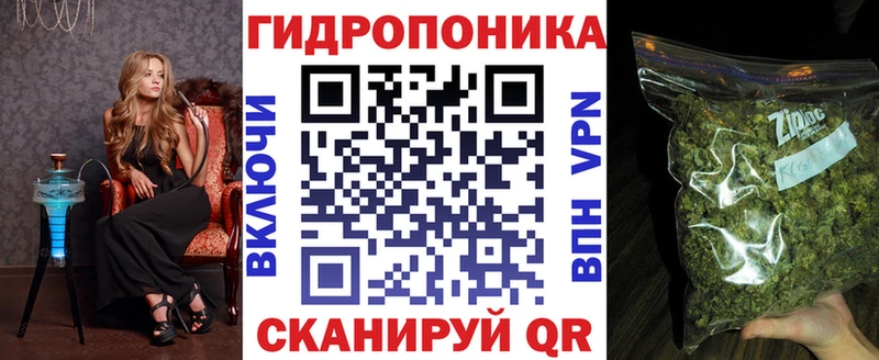Канабис VHQ  купить   Новый Уренгой 